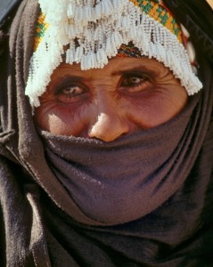 eastern desert bedouin