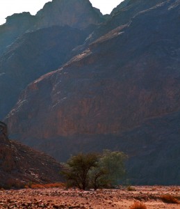eastern desert